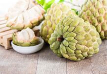 Custard Apple Medical advantages of Your Health and Fitness