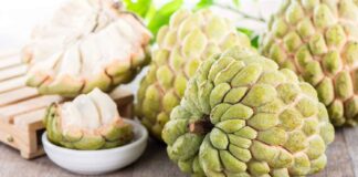 Custard Apple Medical advantages of Your Health and Fitness